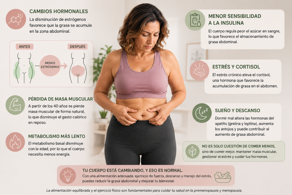 Por qué aumenta la grasa abdominal durante la premenopausia y menopausia